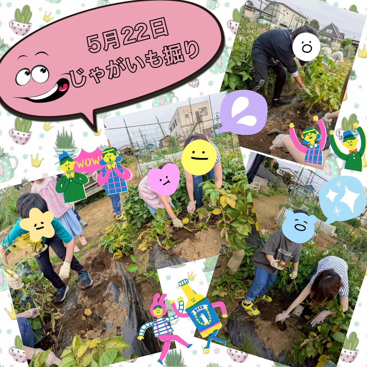 今週のパーチでの活動をご紹介します🦜