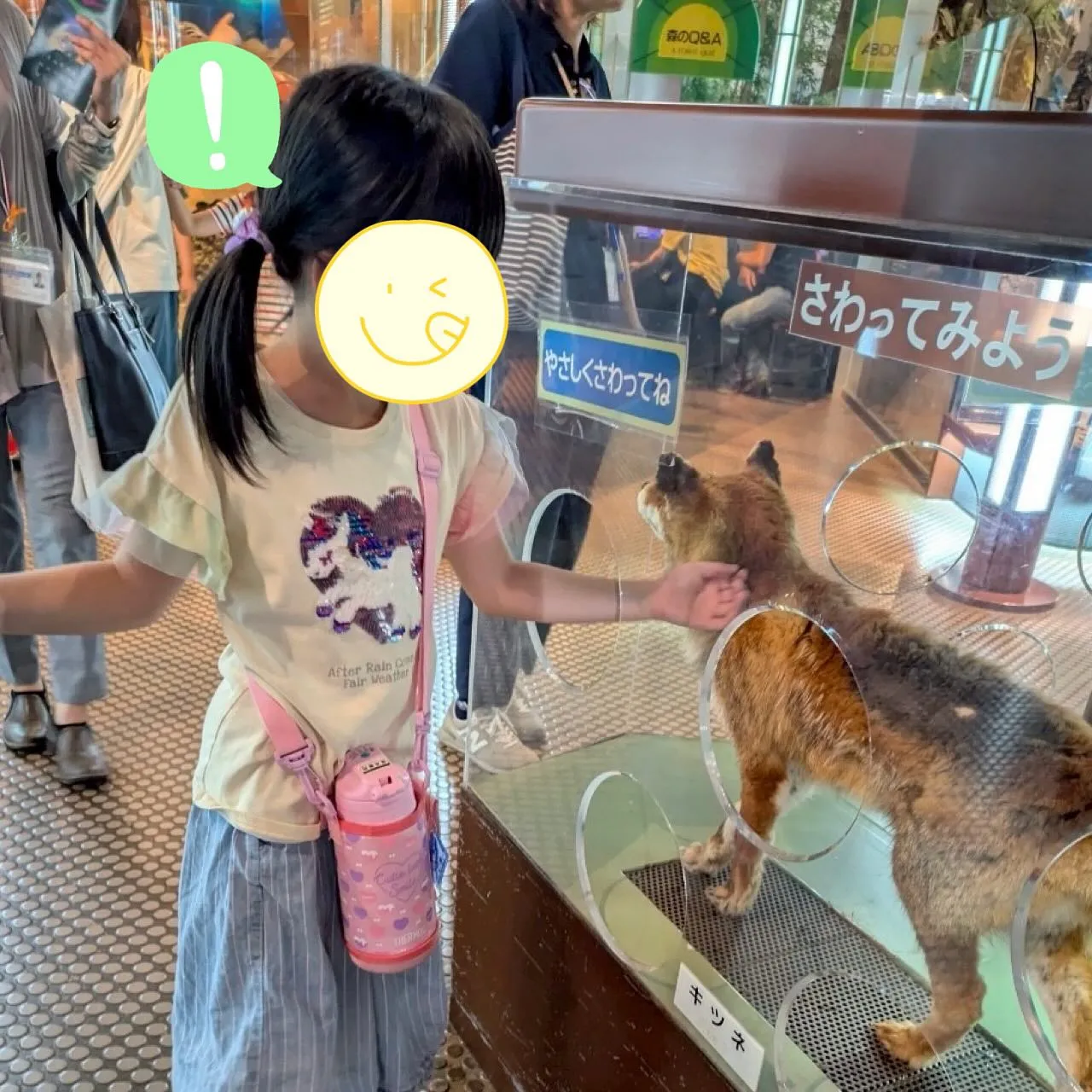 今日は、みんなで茨城県自然博物館に行きました🚗