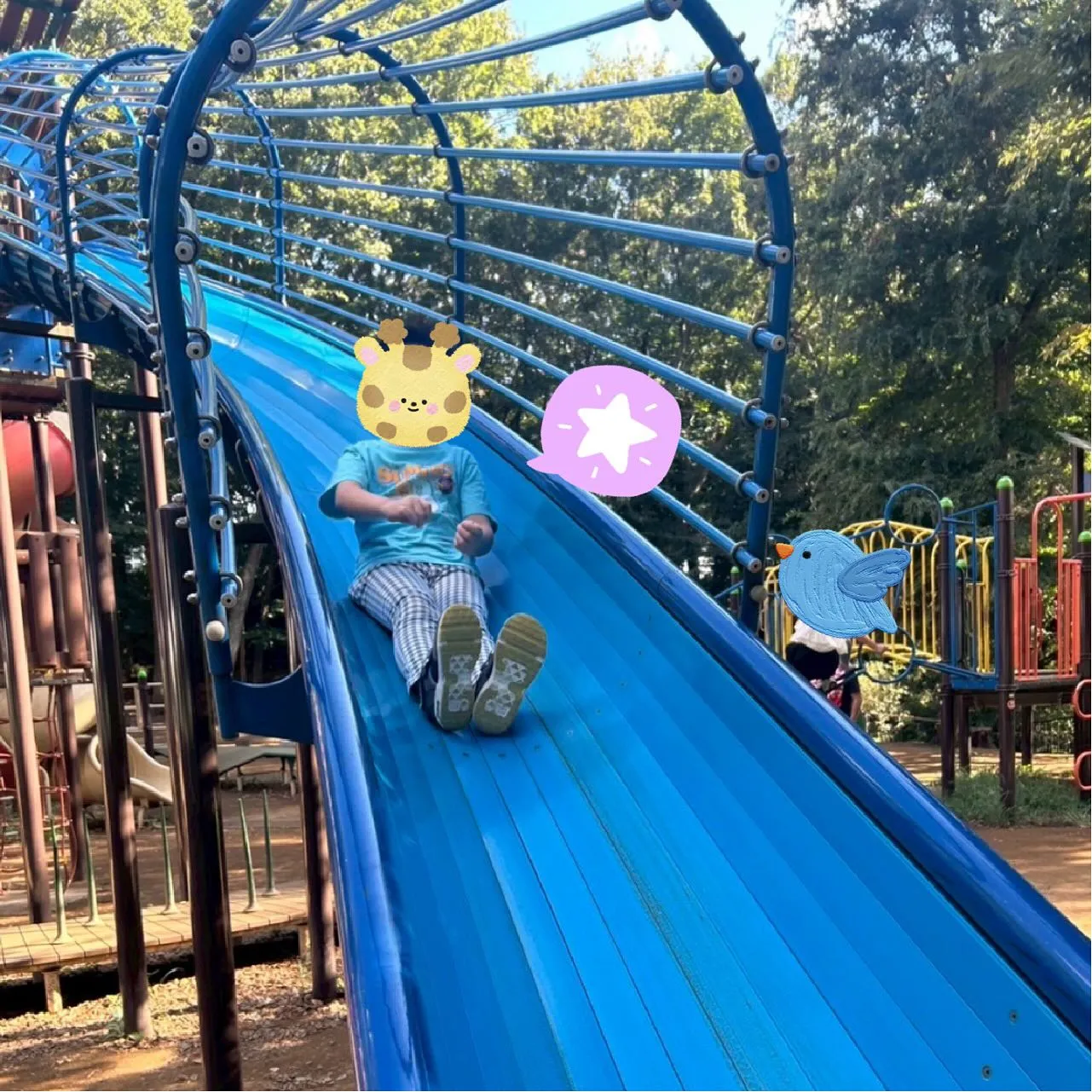 今日は、みんなで西部近隣公園へ遊びにいきました✨