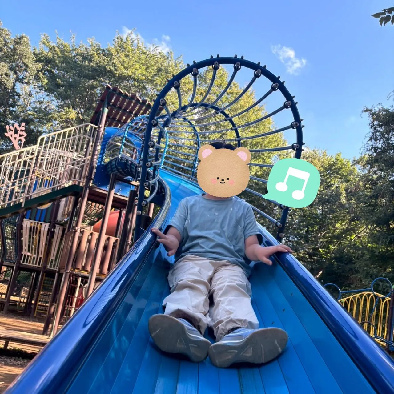 今日は、みんなで西部近隣公園へ遊びにいきました✨