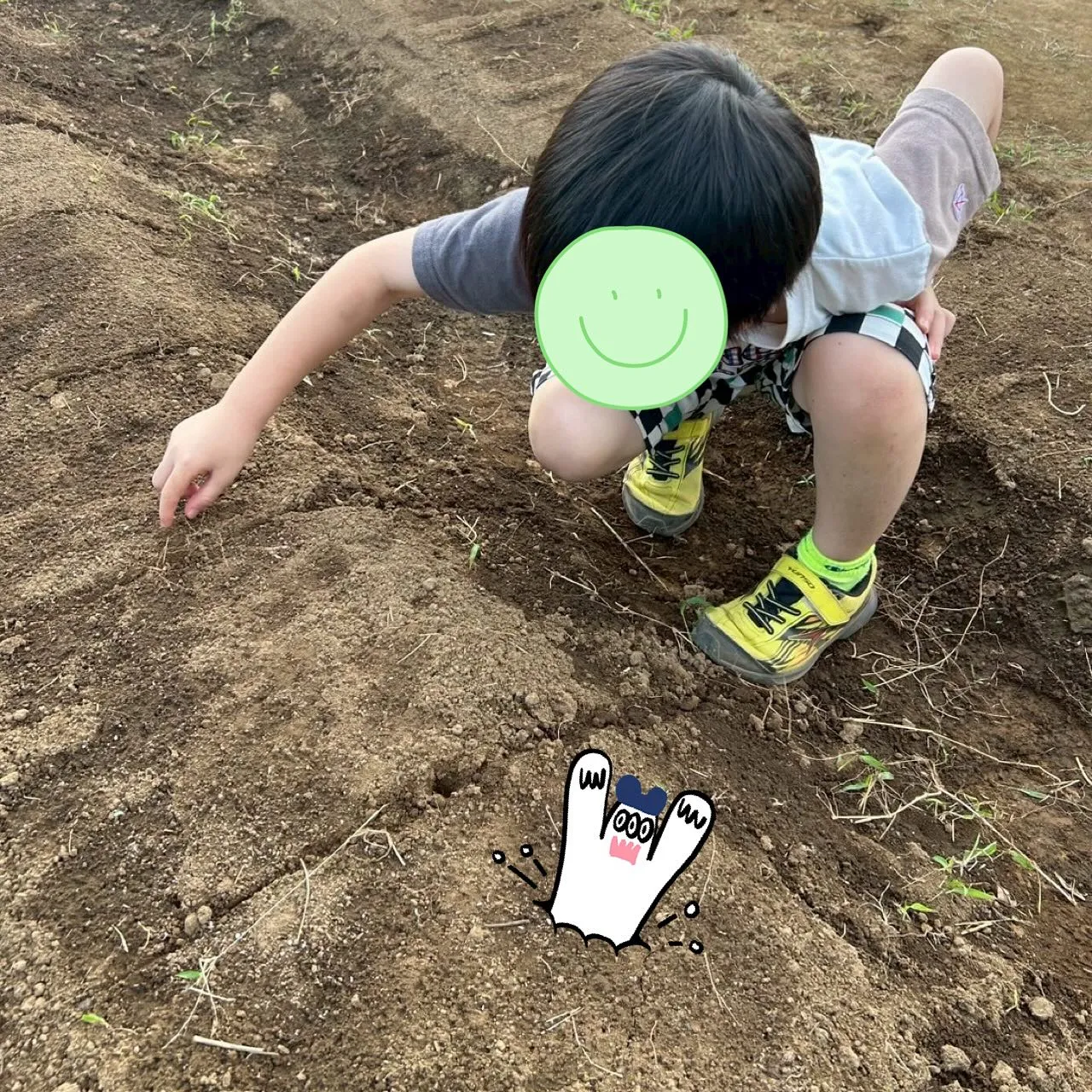 今日は、みんなで大根とにんじん🥕の種を畑にまきました😄