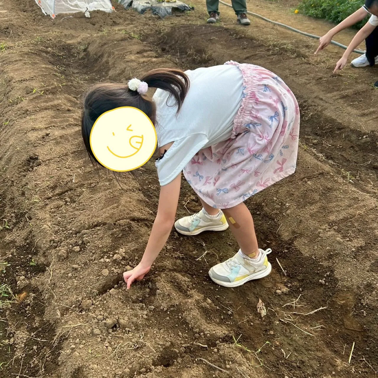 今日は、みんなで大根とにんじん🥕の種を畑にまきました😄